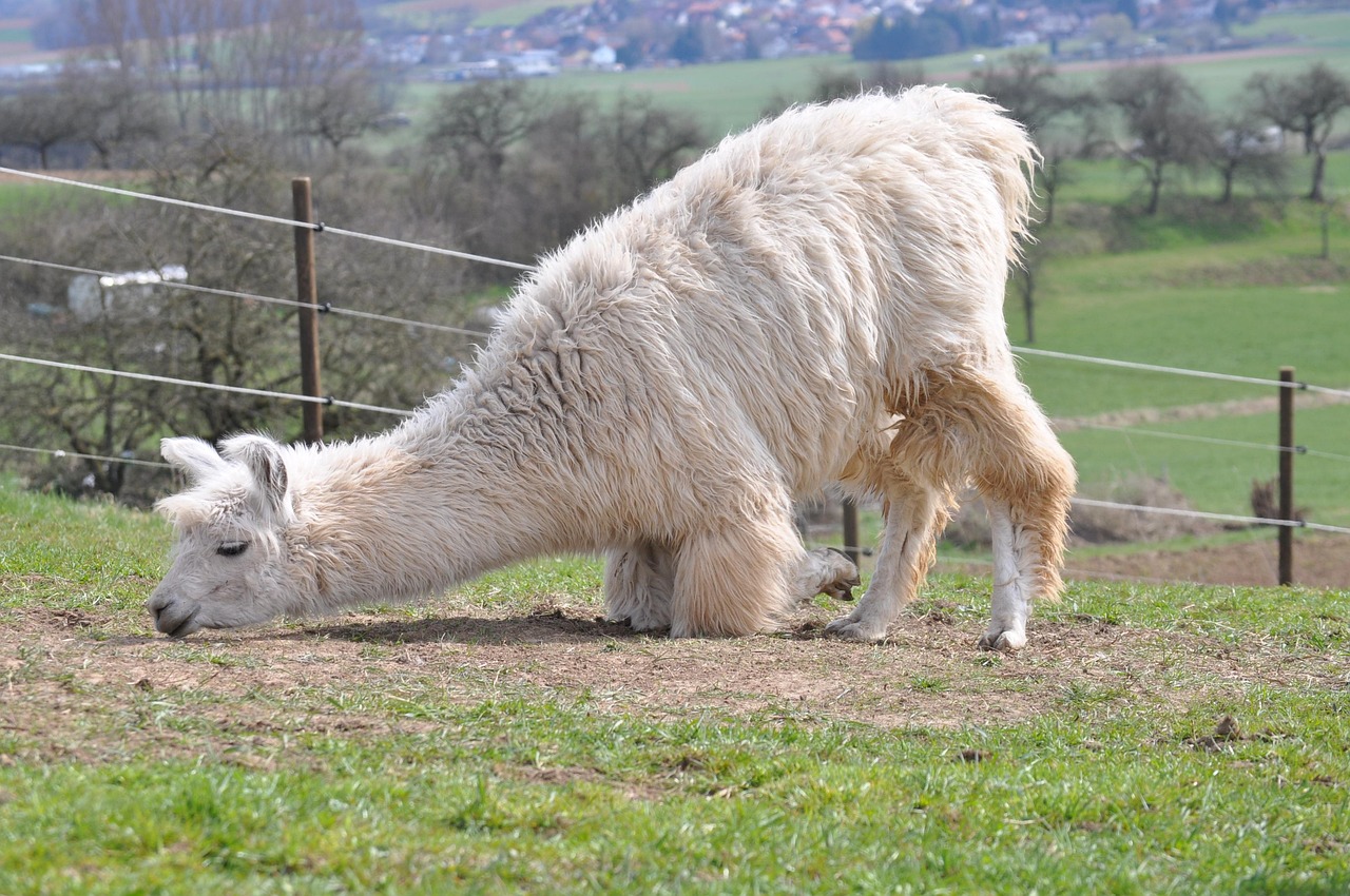 琳琅娱乐，注册|尾货代理平台