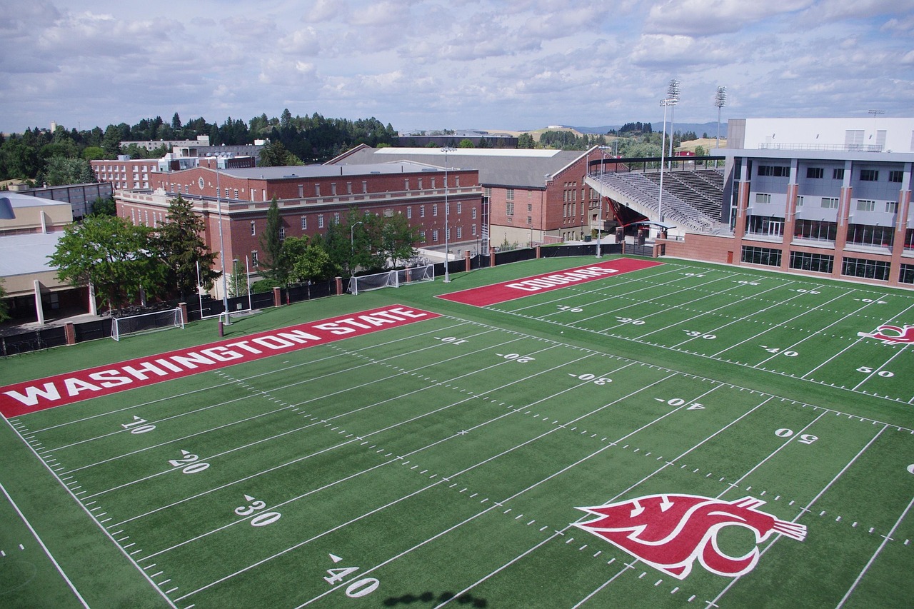 如何使用影响力来优化SEO