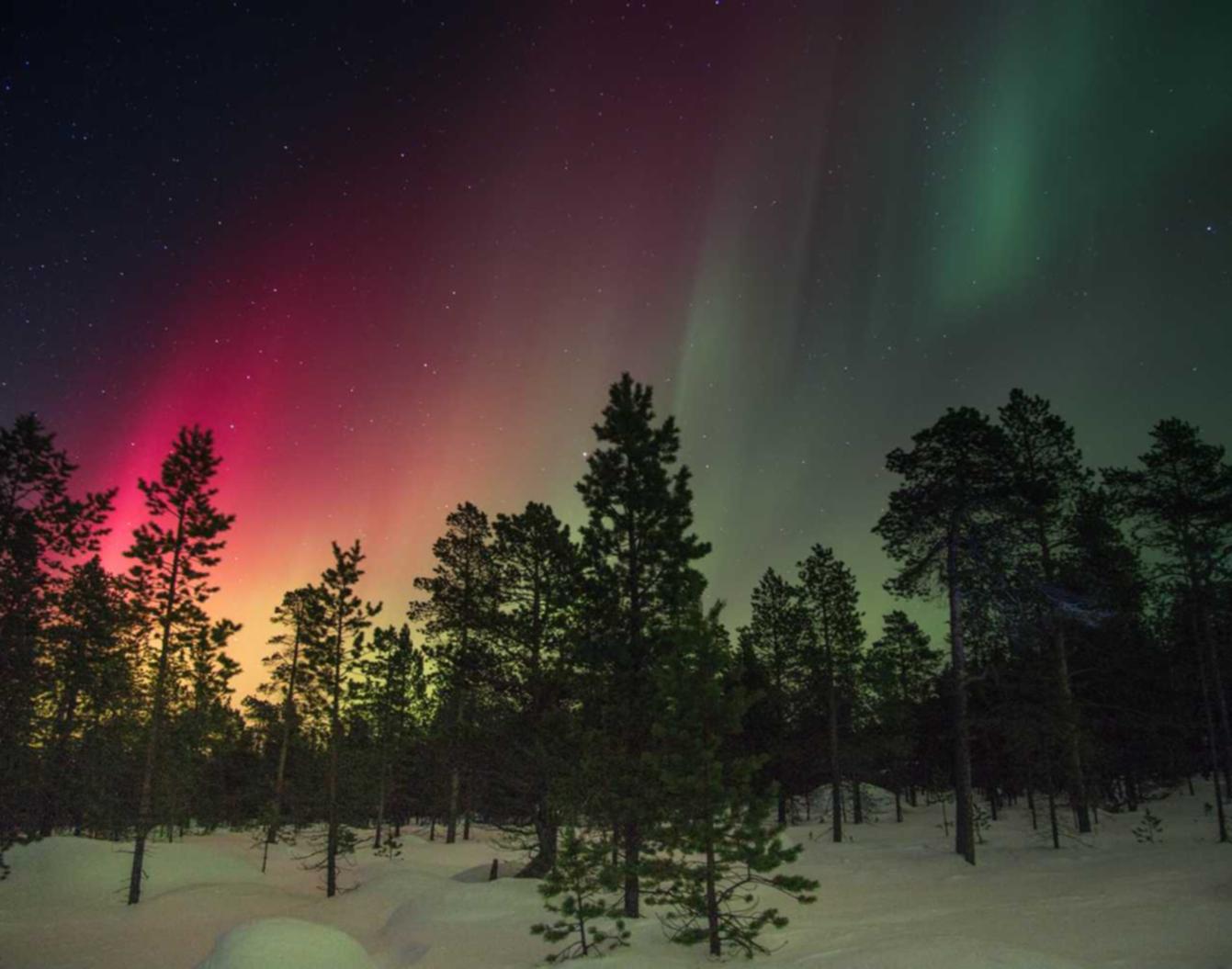 百威杭州芒果购买平台