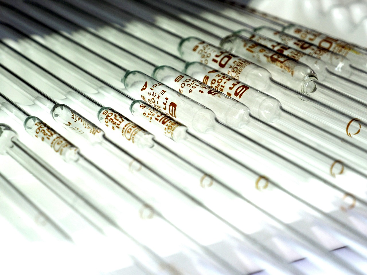 技术支持的危害及其影响