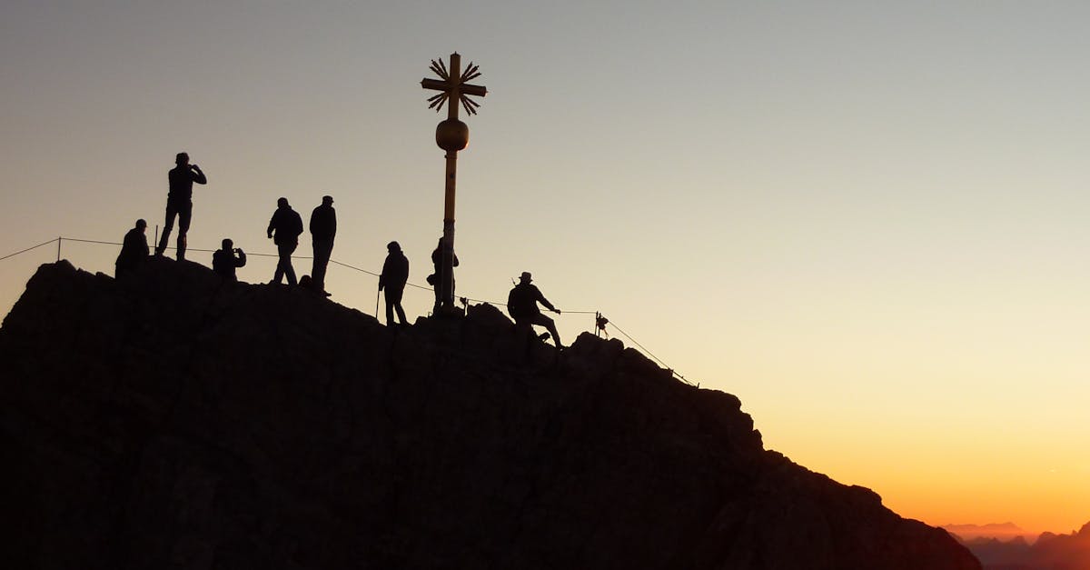 百分之一：三星购买平台