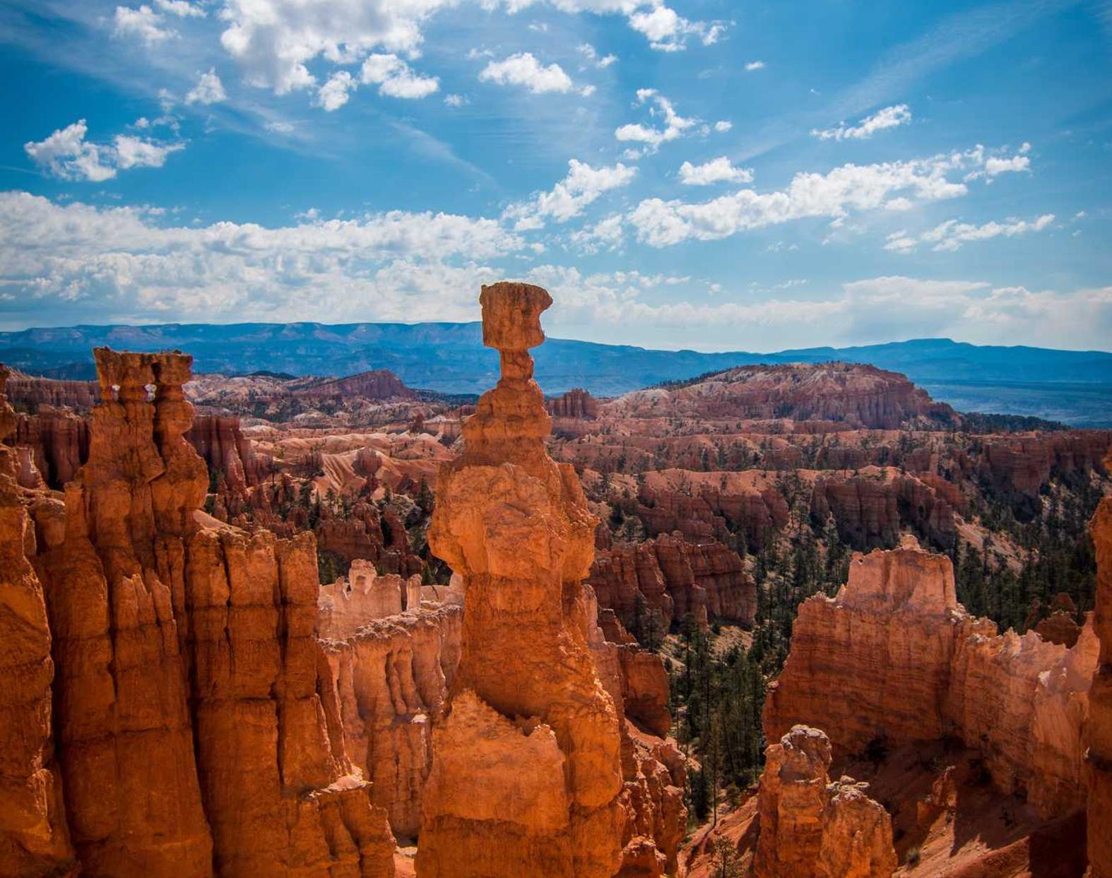 龙族幻想手游：物联网app详情下载教程安装