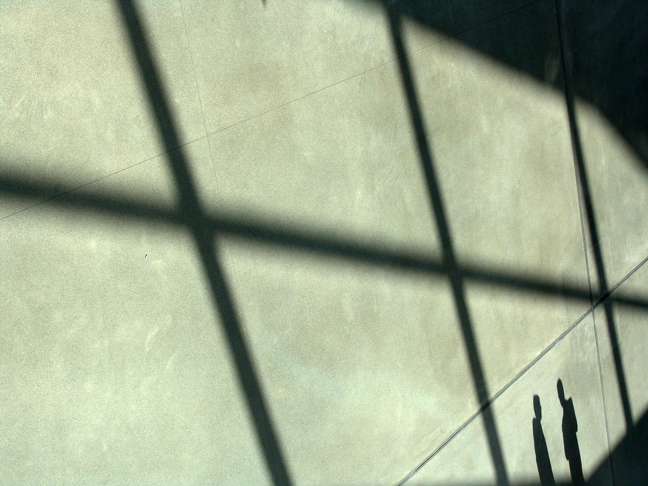 花生ip实名账号：实名制账号在电子证照和电子身份证等领域的应用